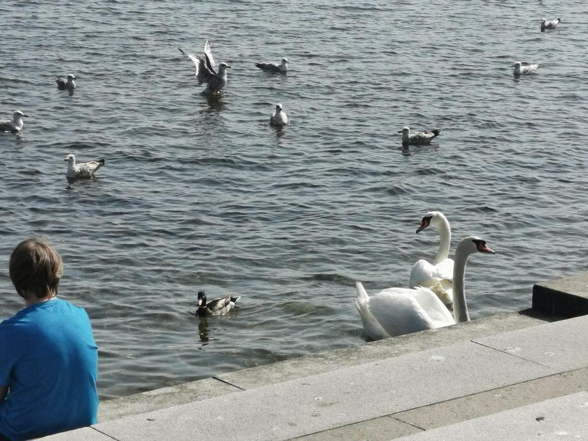 Baltic Sea Quartier Mit Schwimmbad Und Ostseeblick Rerik Luaran gambar